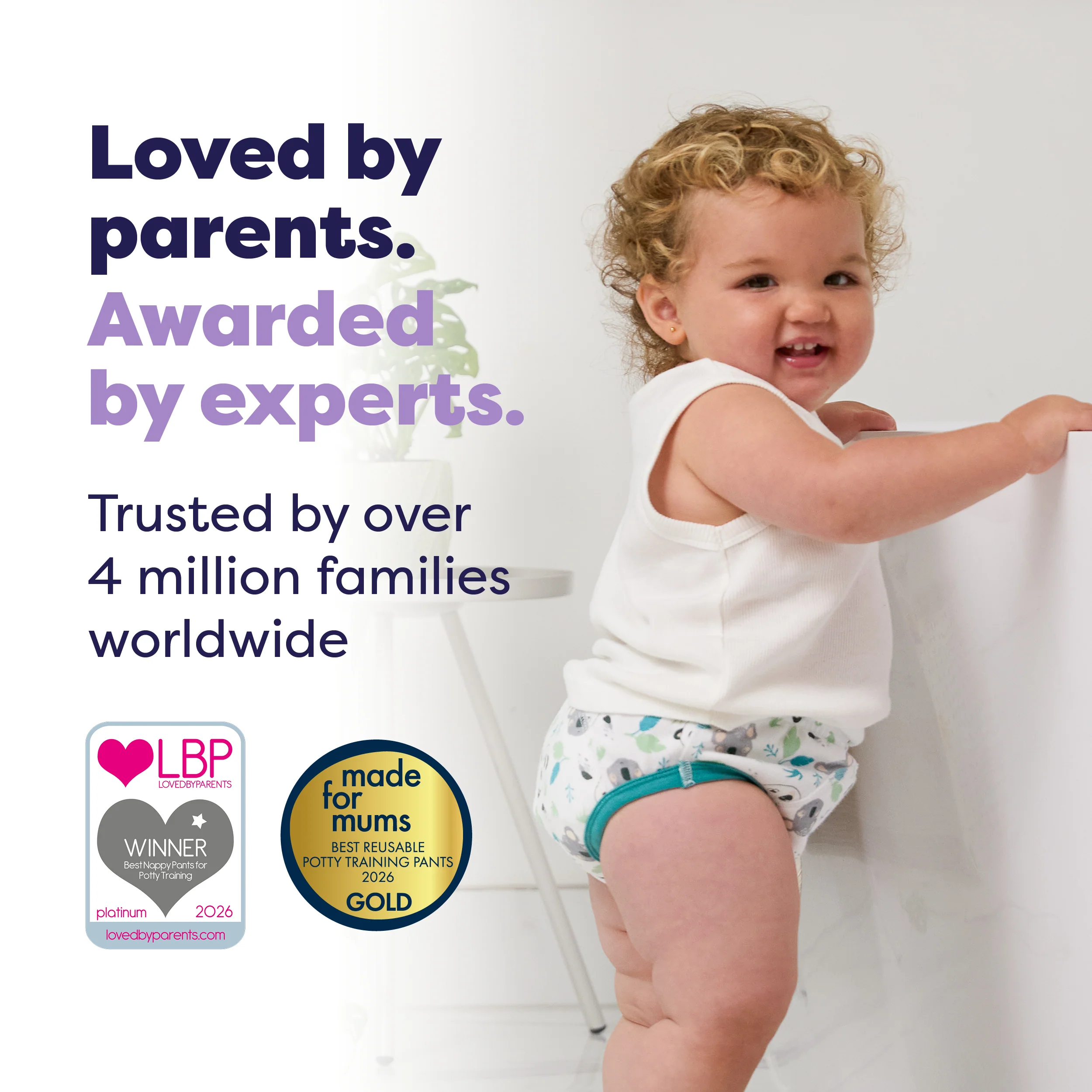 NEW: Reusable Potty Training Pants 3 Pack in Beary Cute - Elite - Image 4